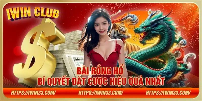 Bài Rồng Hổ – Bí quyết đặt cược hiệu quả nhất