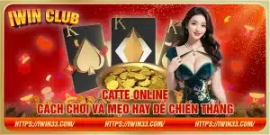 Catte online - Cách chơi và mẹo hay để chiến thắng